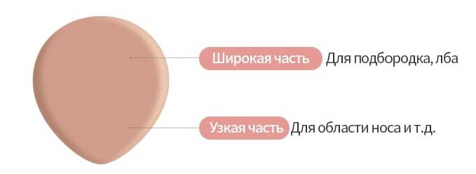 Спонж